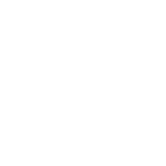 horizonx icon white sq